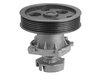 <b>FIAT:</b> 46527473<br/>
